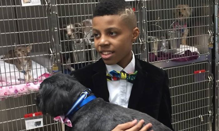 Boy Creates Bow Ties for Shelter Animals to Help Them Get Adopted